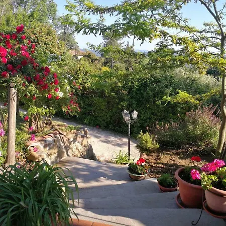 Holiday home La Rosa Dei Venti Monterotondo (Tuscany)